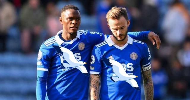 国产高清在线