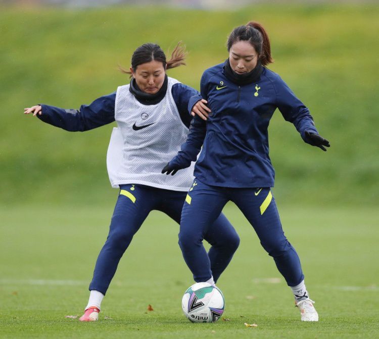 女蜘蛛怀孕生宝宝难产