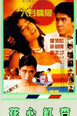 真宫沙梨子