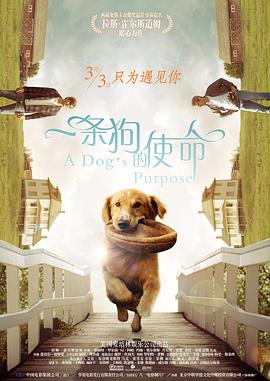 欧美精品国产一区二区三区