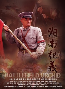 春阳2020