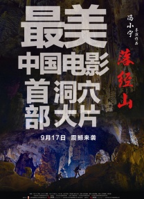 亚洲精品高清在线观看