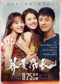 远征访问